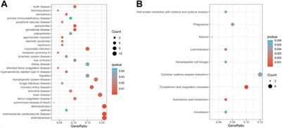 Integration of RNA molecules data with prior-knowledge driven Joint Deep Semi-Negative Matrix Factorization for heart failure study